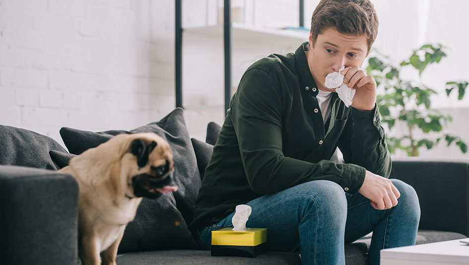 Installing an air purifier is one of the wisest ways to boost your home’s indoor air quality. Find out more about the three top solutions. 